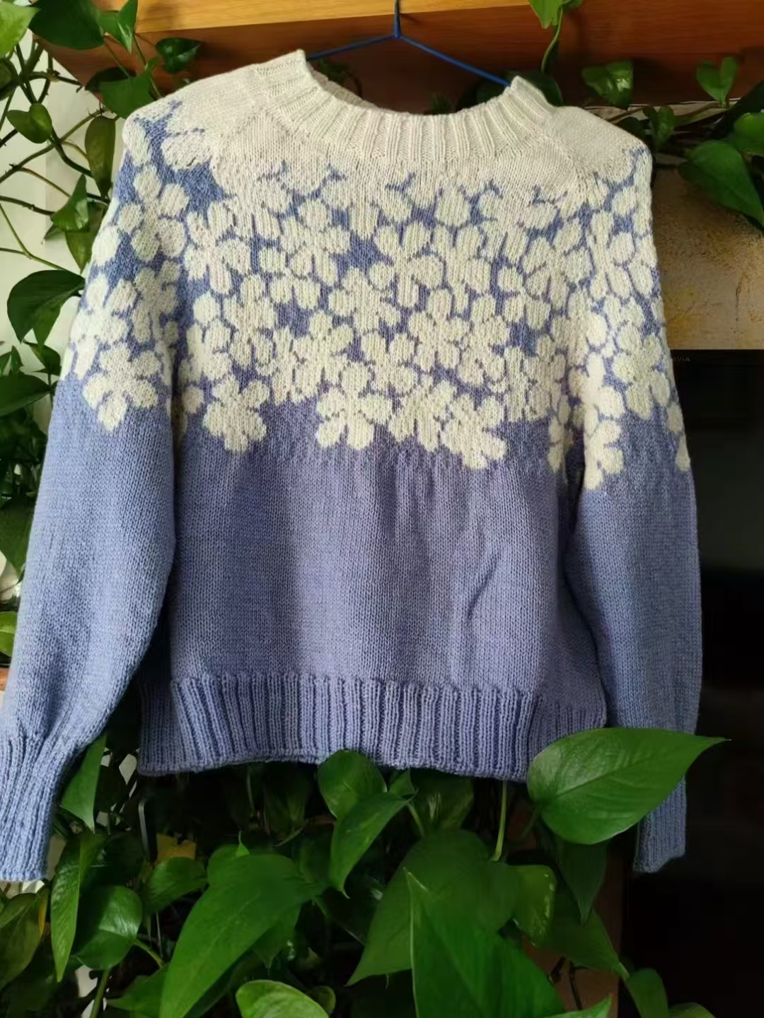 蓝白提花开衫